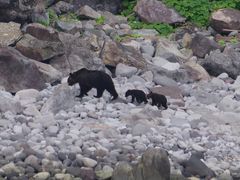 ځ[̒mEYN[YFOXւ̓eʐ^1