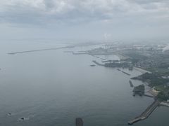 NX̏MCpOC_[̌ւ̓eʐ^1