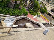 chico̔MقƂς[̓eʐ^2