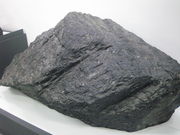 ̂䂫̏Hcwyێwz zƔق̓eʐ^1