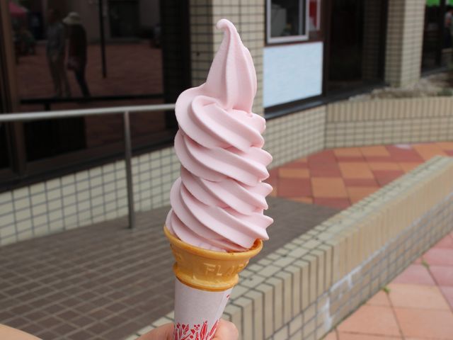 �T�N�����{�\�t�g_���̉w �X�^�[�v���U����