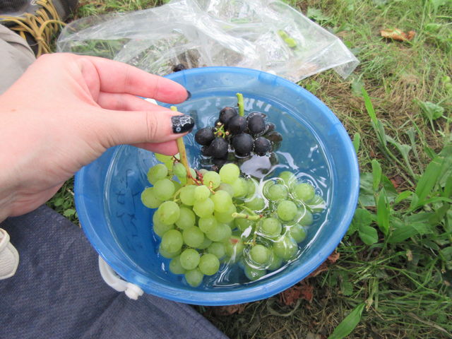 �X��������_�R�{�_��