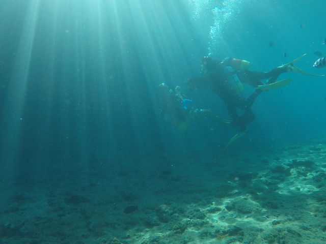 �L���C�Ȏʐ^����R���肪�Ƃ��������܂���_�����_�C�u (MalDive)