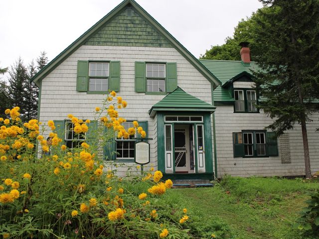 �A���̉ƂP_�J�i�f�B�A�����[���h