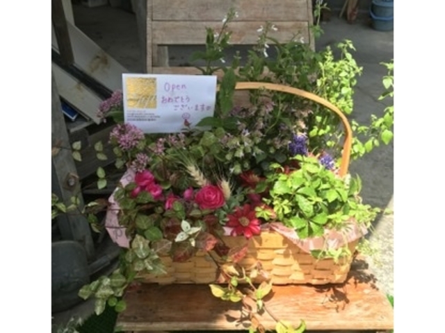 �Q�O�Q�O�N�W���P���ɃI�[�v�����ꂽ�����ł�_�J�k�[���܂�ƃx�[�X