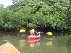 ̂̐\AWcA[KAGUYAւ̓eʐ^1