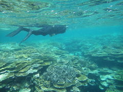 JỸ}T[rX@pb\ւ̓eʐ^1