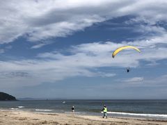 mȕMCpOC_[̌ւ̓eʐ^1