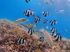 䂤݂̃ANAhbvւ̓eʐ^1