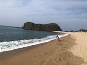 Ђ낳̗EブlC̓eʐ^1