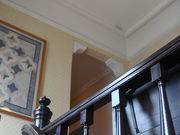 񂳂̋`mOltق̓eʐ^3