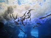 yosshy̖k̑n̐ق̓eʐ^2