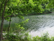 yosshỹ`~Pbv΂̓eʐ^1