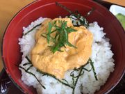 ҂񂳂̂͂܂Ȃ̓eʐ^1