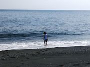 �˂˂�����̍��̕l�V�j��̓��e�ʐ^1