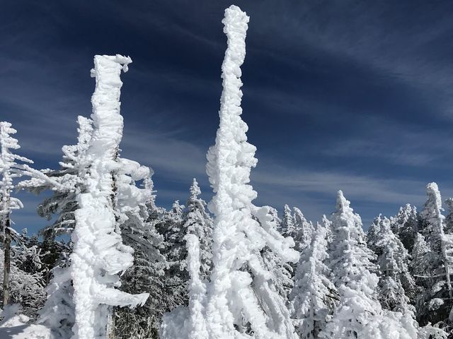 �W�]��͎��X�̕��_���P�R