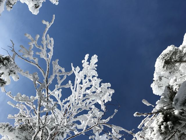 �����̖��X_���P�R