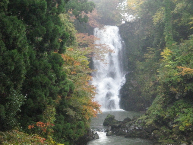 �ޑ]�̔���_�ޑ]�̔���