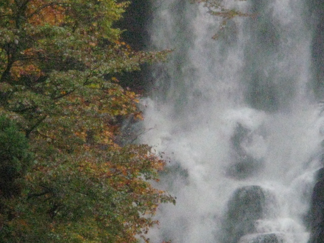 �����Ԃ�_�ޑ]�̔���