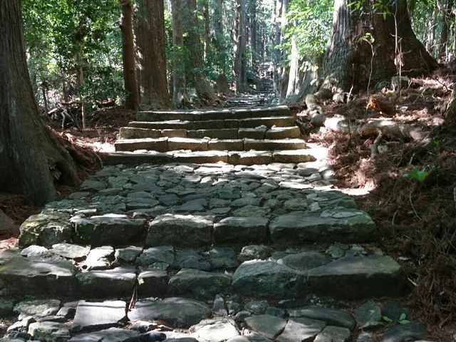 �F��Ó��@����