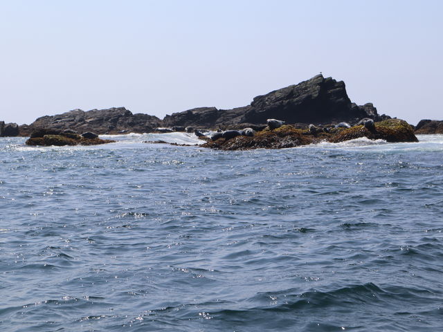 ̏ł낮AUVB_Ru{[gN[Y