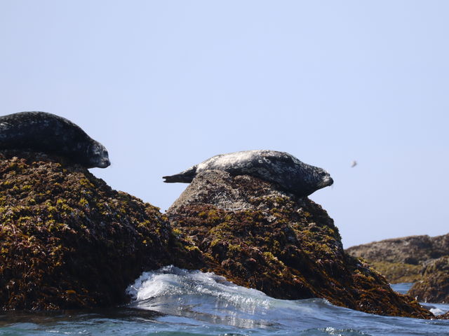 AUVY[AbvB꒣肪̂ȁB_Ru{[gN[Y