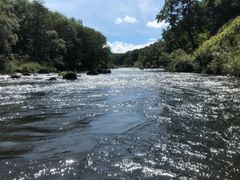 񂲂NACjZRAhx`[Z^[ւ̓eʐ^1