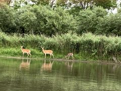 }}񂳂̃Jk[VbvqCւ̓eʐ^1