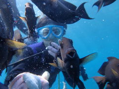 ݂̐̓A@Dive@ւ̓eʐ^1