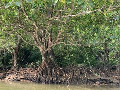 iimOHCUSΊ_ւ̓eʐ^1