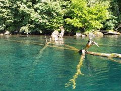 syou̐AEghAZ^[(X)ւ̓eʐ^1