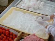 �p�b�N����̖�c���َq�܂̓��e�ʐ^8