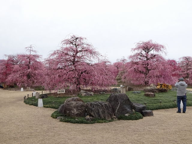 �鎭�̐X�뉀_�鎭�̐X�뉀