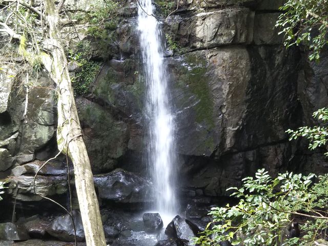 �l�͏��Ȃ߂ł����B_�����̑�