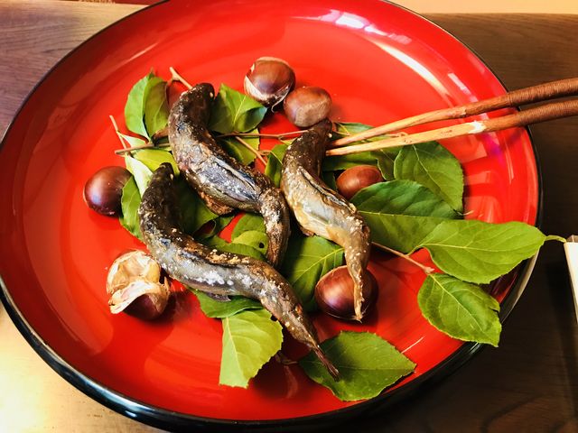 �����`�ł������������ł�_UMESEKO TOUR