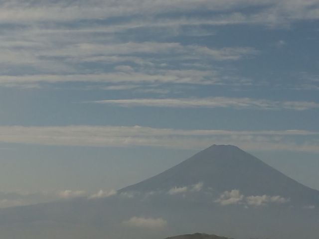 �_�̌��Ԃ𔲂��Ĉ�u�x�m�R���݂��܂����A_��P�x