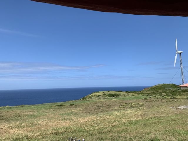 �����낤����̃}�n�i�W�]��̓��e�ʐ^1