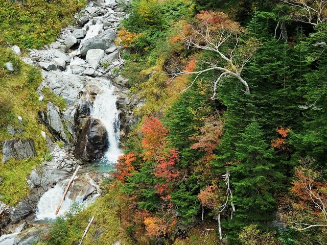 x[vEGCԂ̍gt010_x[vEGCԂ̍gt