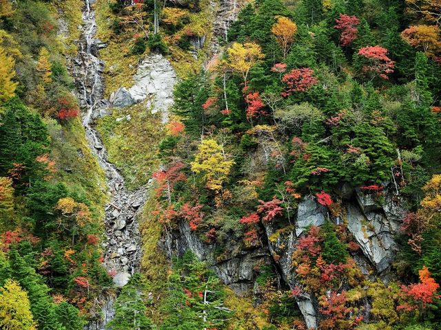 x[vEGCԂ̍gt008_x[vEGCԂ̍gt