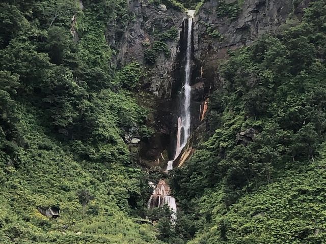 �J�V���j�̑�͋߂��܂ōs���A�l�X�ȑ�Ɋ����ł����B_�m�����E��Y�N���[�YFOX��