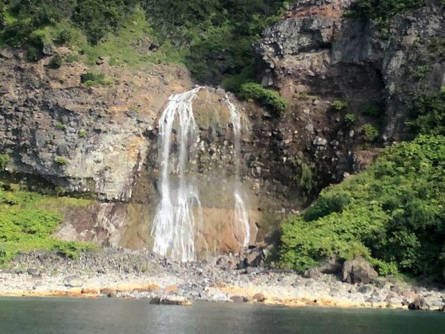 �J���C���b�J�̑�́A�����ł���o�肵�܂������A�i�F�̓��V���R�[�X�ł����S�e�������Ȃ��ǂ������ł��B_�m�����E��Y�N���[�YFOX��