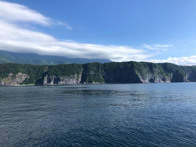 �i�F���ǂ������ł��B
���V���R�[�X�ł����s���Ȃ��ꏊ�Ȃ����ɁA�c�A�[�Q�������b�オ����܂���_�m�����E��Y�N���[�YFOX��