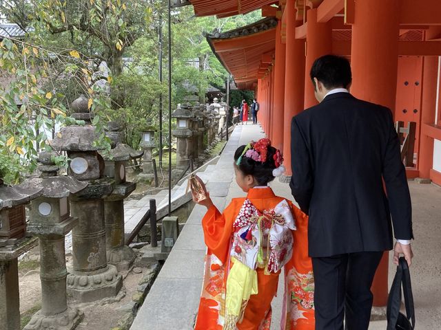 �t�����_�ʐD����