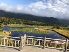 �m���܌΂̎ʐ^1