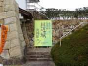 ǁ[̓cӏ鎑ق̓eʐ^1