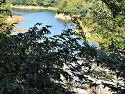 Ƃ񂳂̍_i~ԗ΁j̓eʐ^2