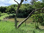 �����낤����̑吳�r�����̓��e�ʐ^1