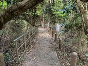 �����낤����̓��������̓��e�ʐ^1