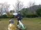 モロさんの福島温泉ほの香の宿つばき荘の投稿写真4