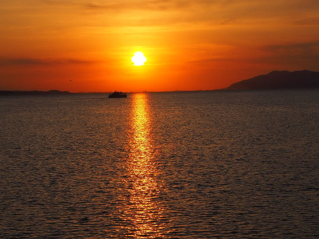 �Ώ�_�����Ίό��V���D